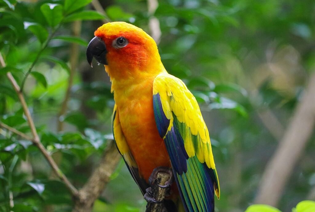 Singapore zoo