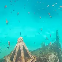 caribbean videos