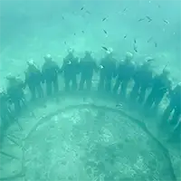 caribbean videos
