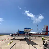 caribbean videos