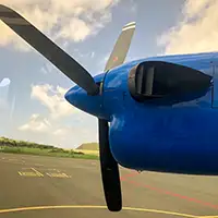 caribbean videos