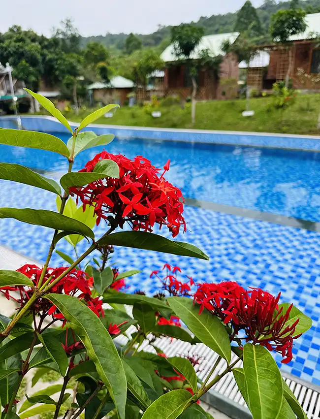 Phu Quoc