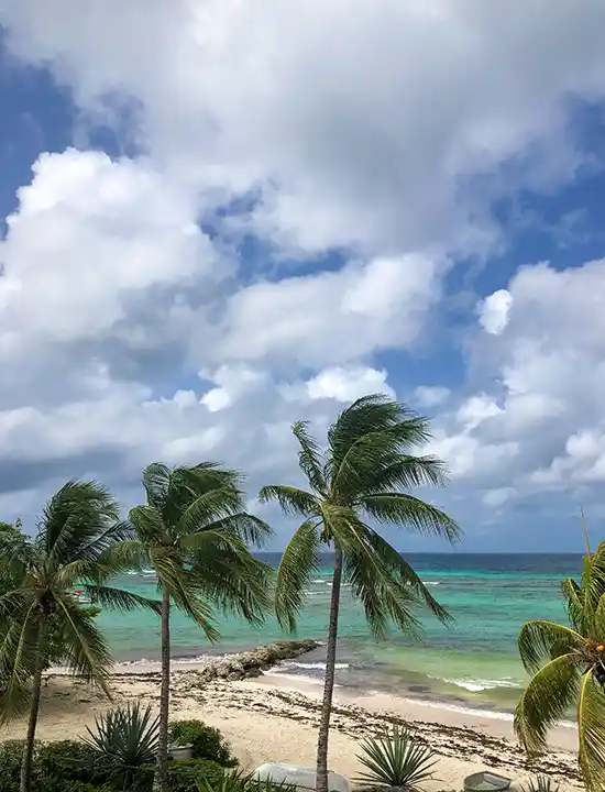 Coral Sands Beach Resort