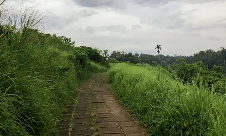 Campuhan Ridge Walk, Bali