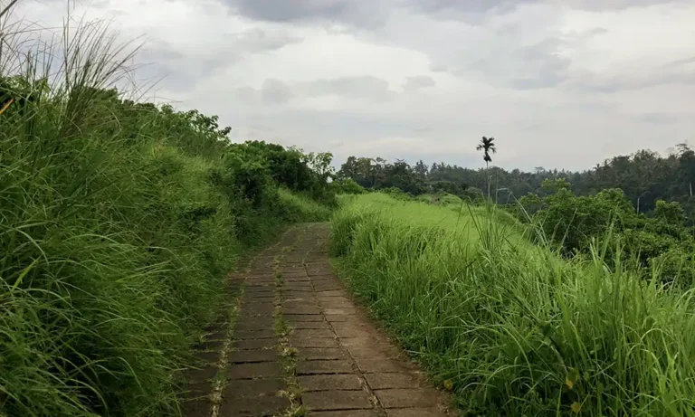 Campuhan Ridge Walk, Bali