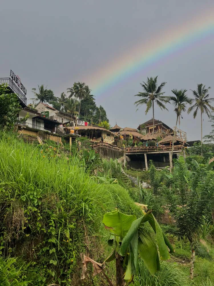 Tegallalang Rice Terrace, Bali
