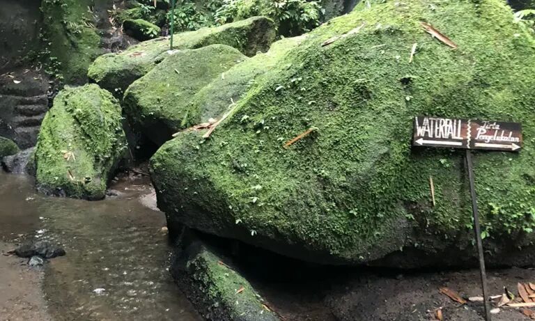 Tukad Cepung Waterfall, Bali
