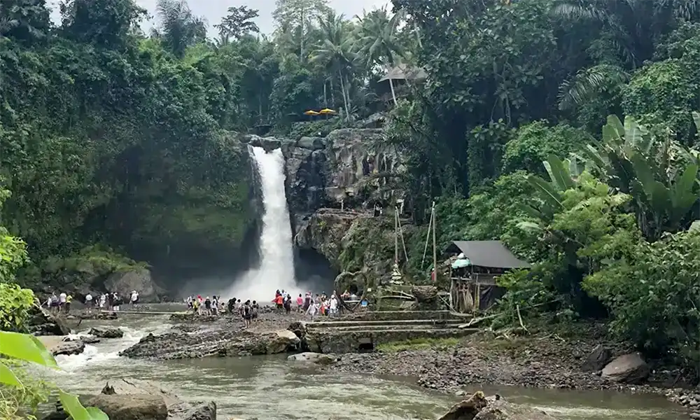 Bali Waterfall