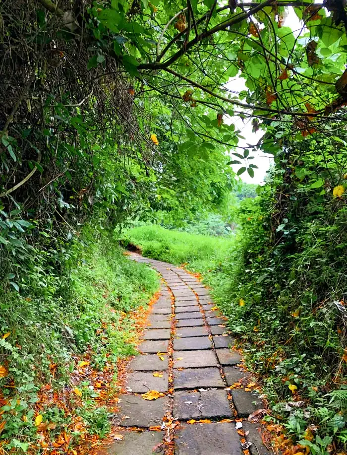Campuhan Ridge Walk, Bali