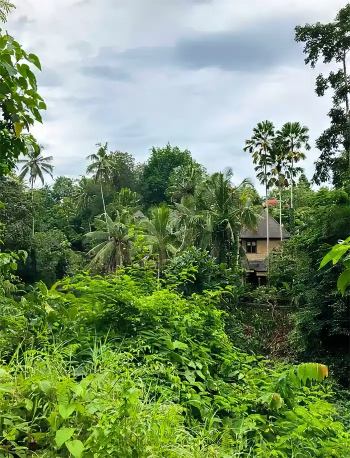Campuhan Ridge Walk, Bali