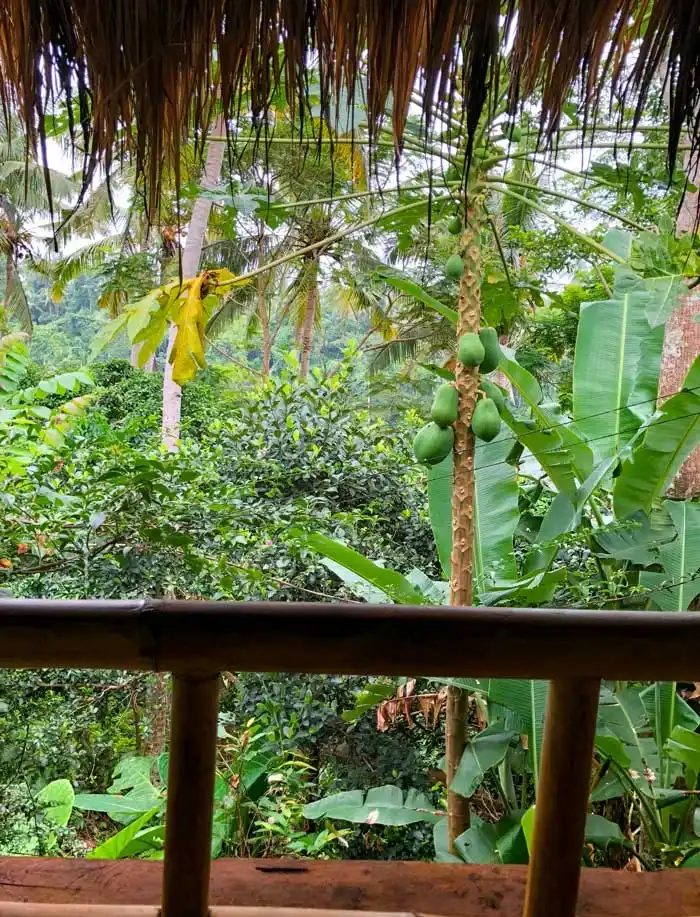 Campuhan Ridge Walk, Bali