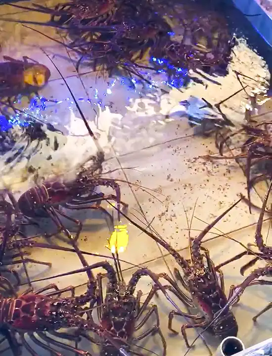 Sint Maarten Restaurant