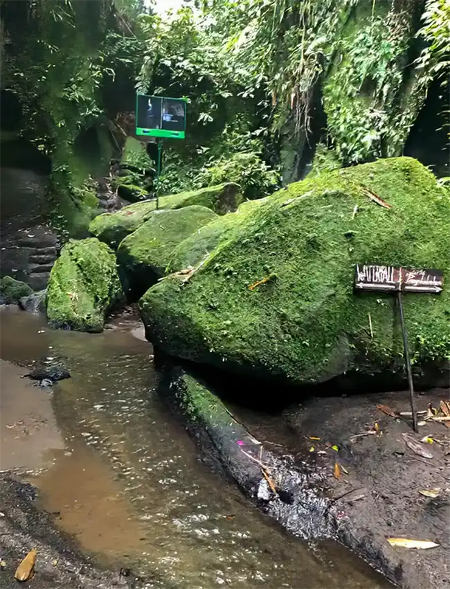 Tukad Cepung Waterfall, Bali