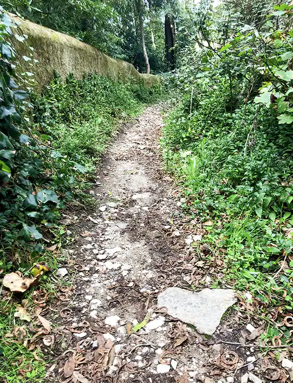 Hiking to Pena Palace