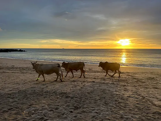 Koh Lanta