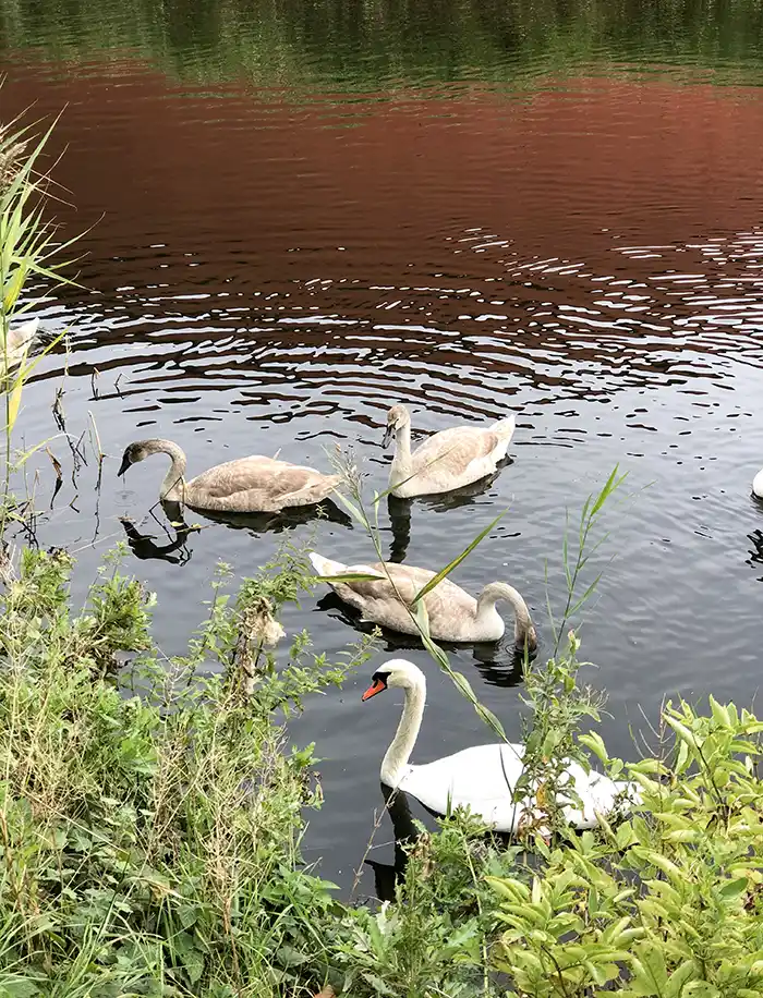 Malmö Castle – Malmöhus