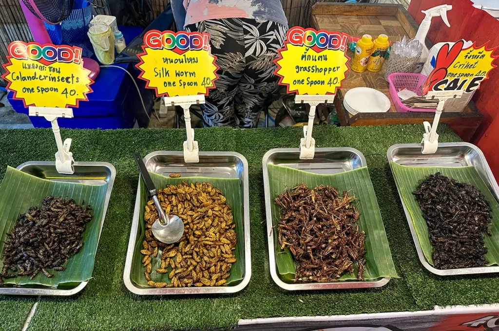 Krabi Market