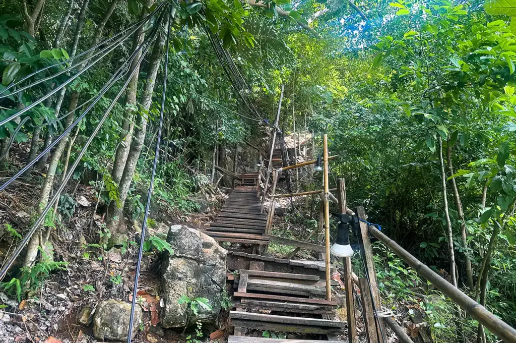 Monkey Trail Krabi