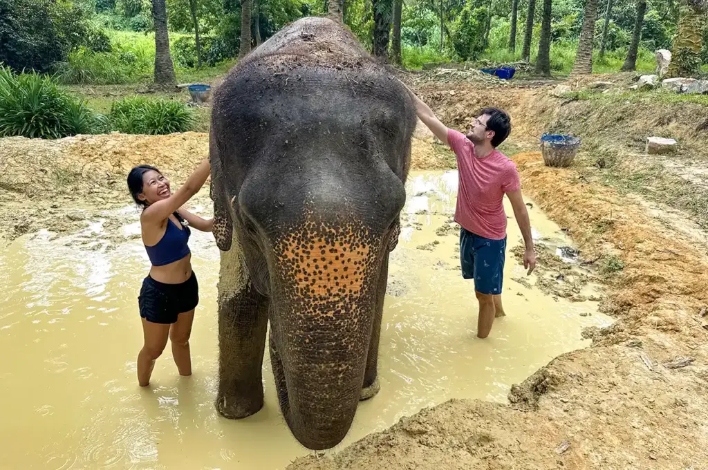 Elephant Sanctuary