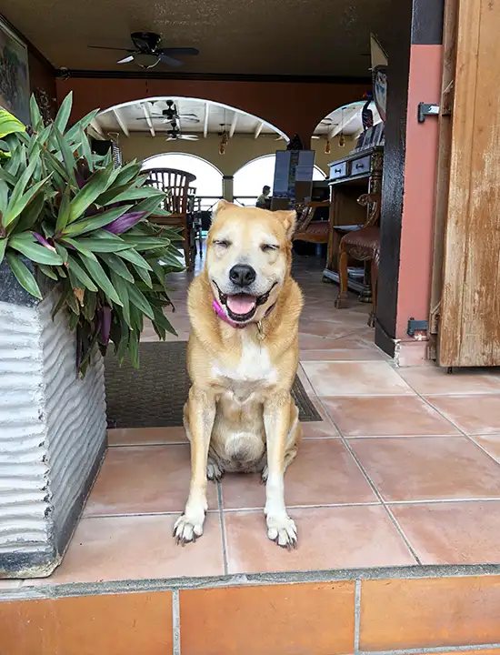 Mary’s Boon Beach Plantation Resort & Spa